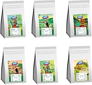 COLLECTION BUNDLE PACK OF 6