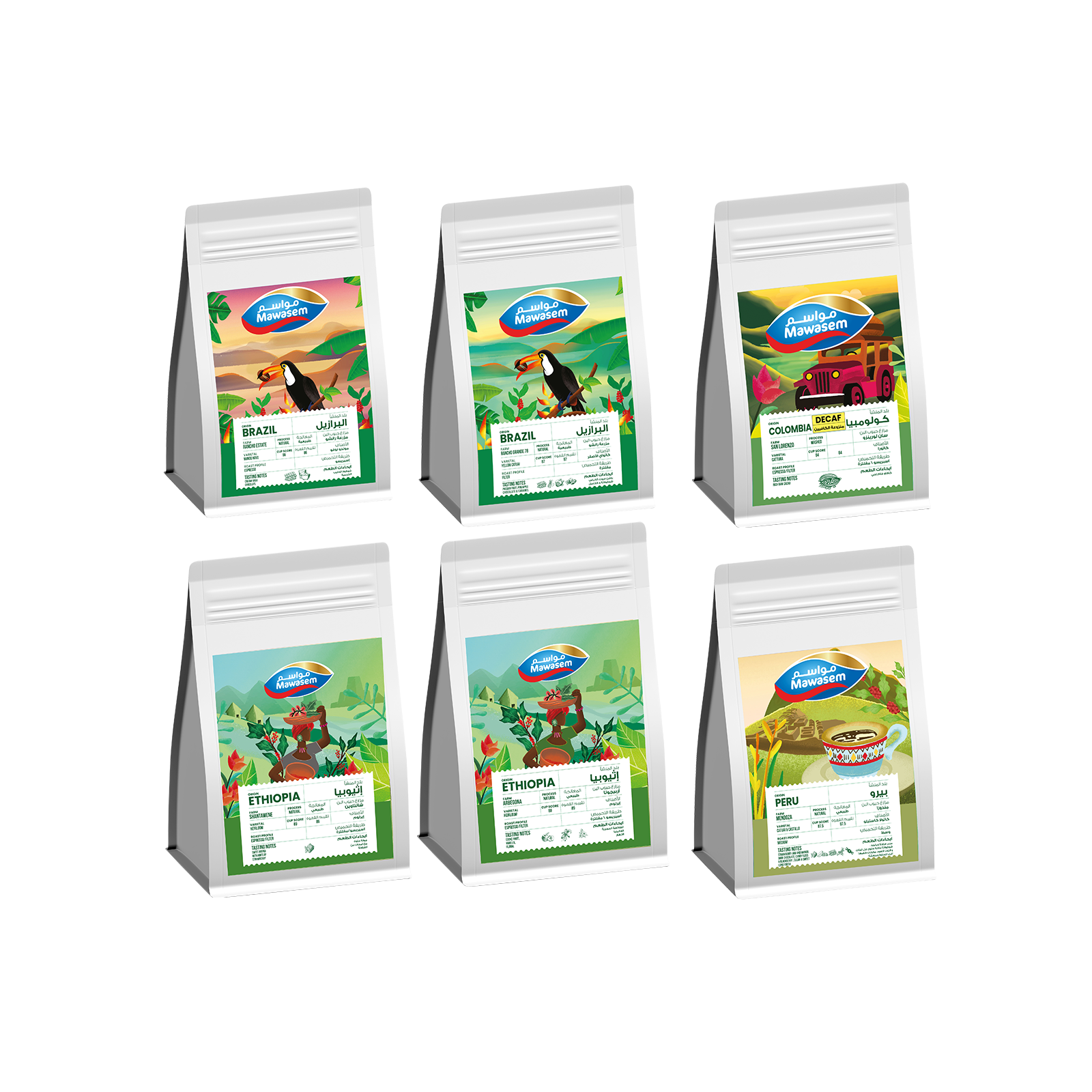 COLLECTION BUNDLE PACK OF 6