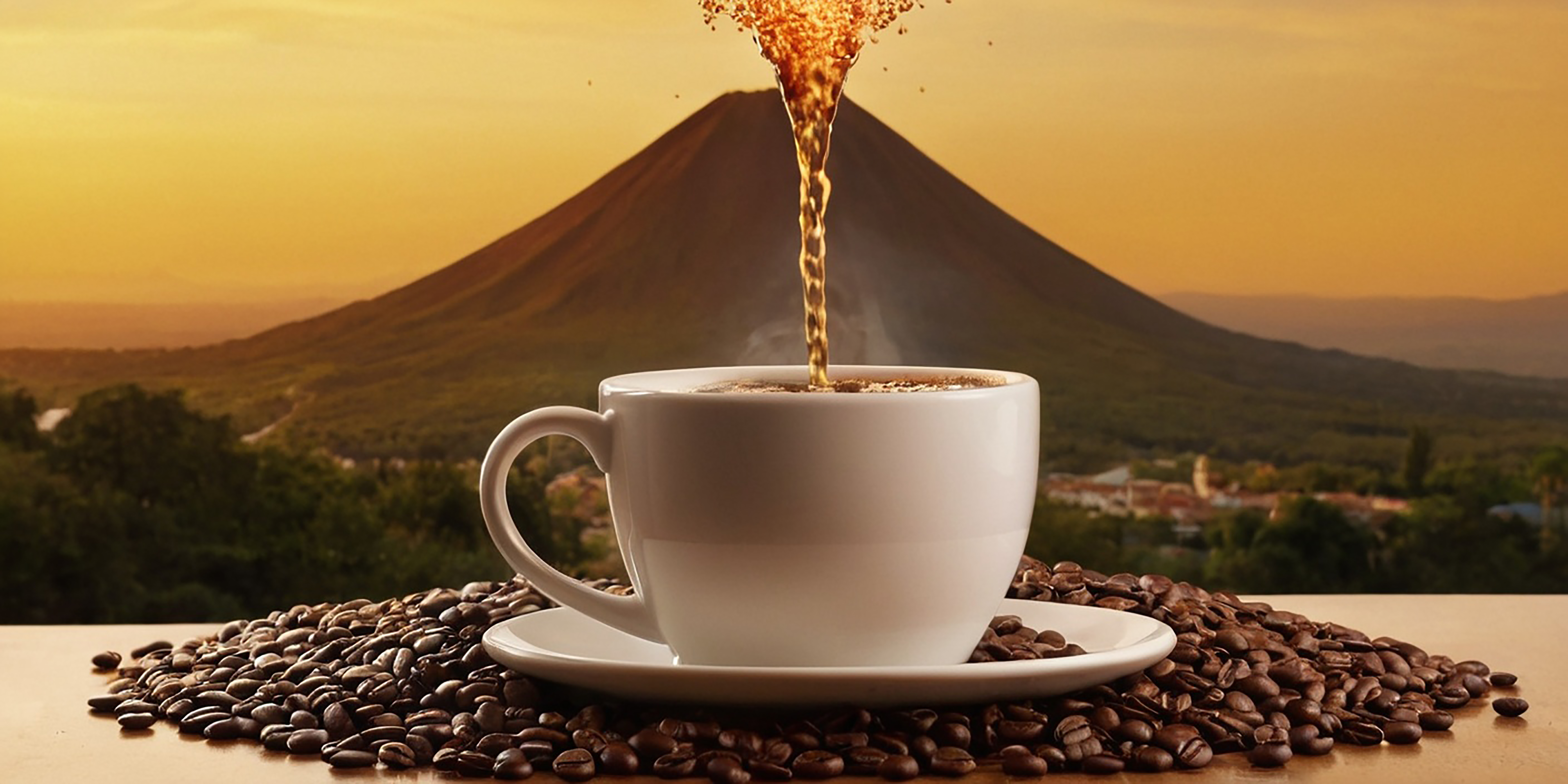 More Than Coffee